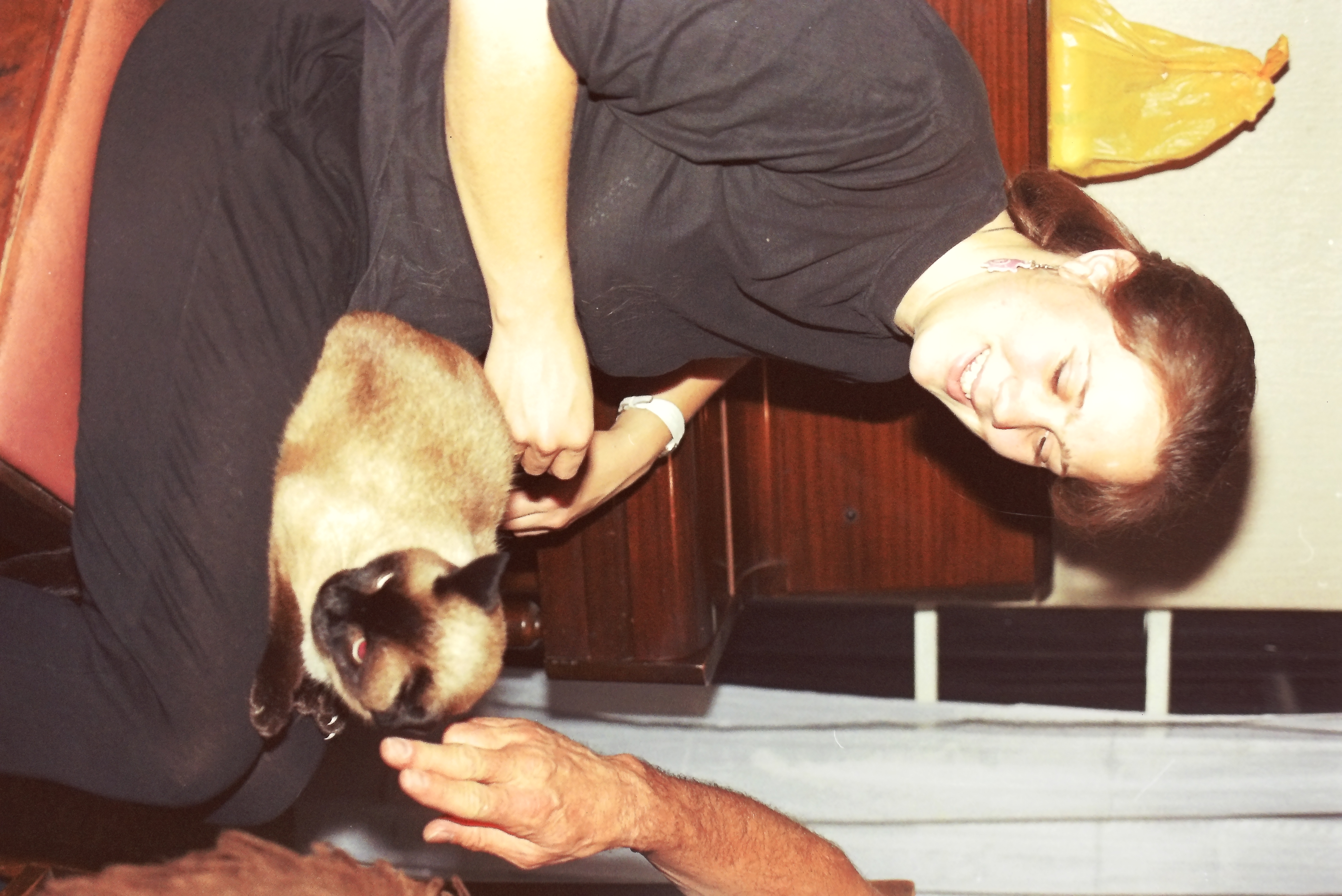 Nicole and 3 legger Siamese Cat